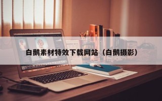 沙洋白鹅素材特效下载网站（白鹅摄影）